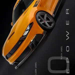 Shop – Saleen Automotive